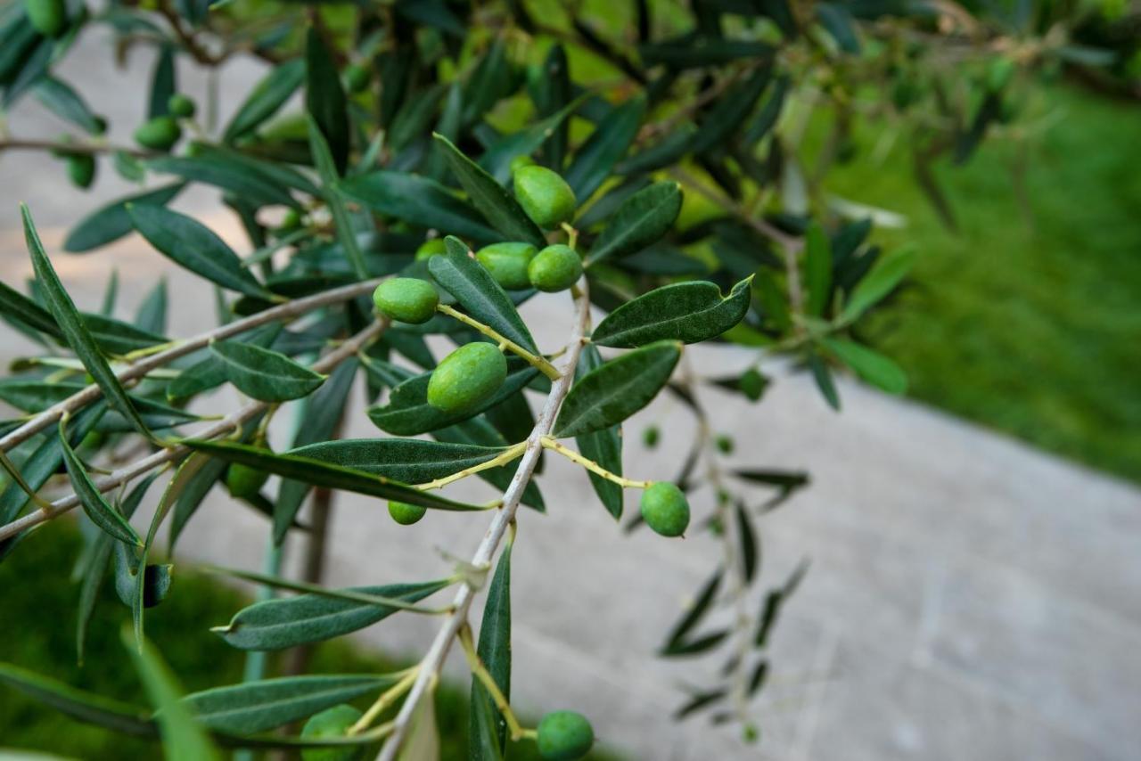 Olive 101 Apartment Peraia  Bagian luar foto